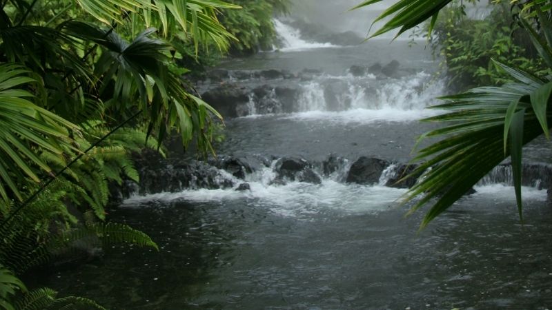 Small waterfalls flow over rocks in a lush, green tropical forest with mist rising in the background, reminiscent of the serene hot springs in Costa Rica.